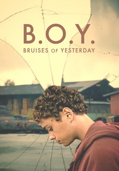 B.O.Y.: Bruises of Yesterday poster