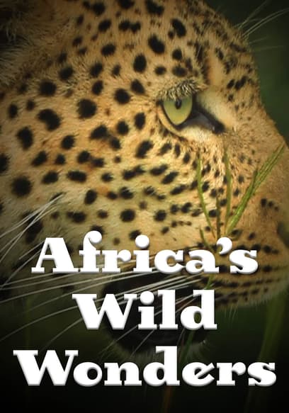 S01:E10 - Antelope - Kudu, Eland, Waterbuck and Other Large Buck