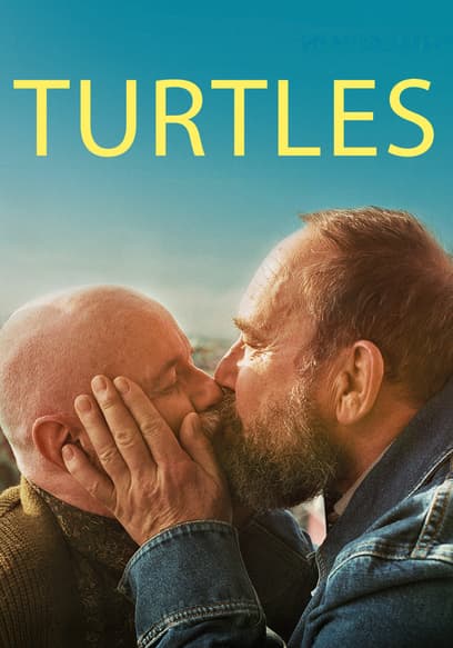 Turtles
