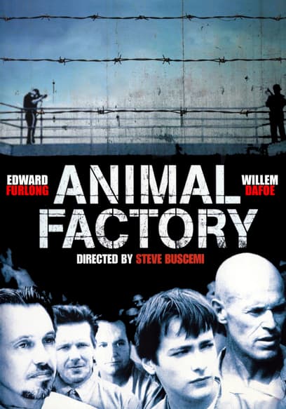 Animal Factory