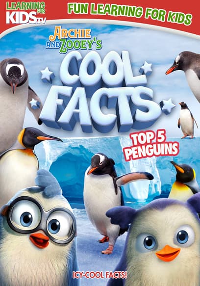 Archie and Zooey’s Cool Facts: Top 5 Penguins