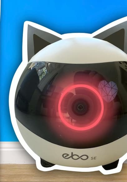 Affiche de S01:E06 - I Used ROBOTS to Look After My Cats + Extreme LEGO Colour CHALLENGE!
