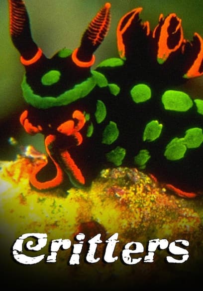 Critters