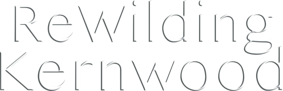 ReWilding Kernwood