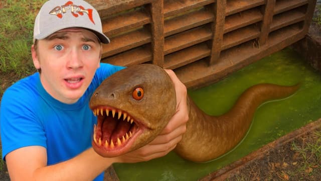 S01:E11 - I Found a Sewer INFESTED With Alien Fish!