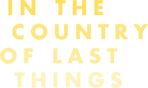 In the Country of Last Things