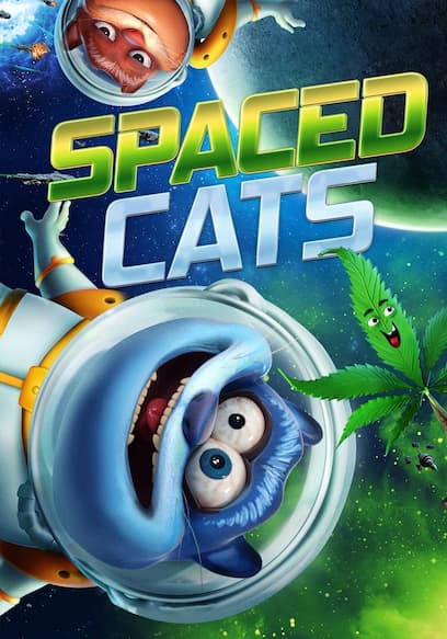 Spaced Cats