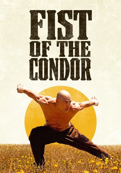 Fist of the Condor