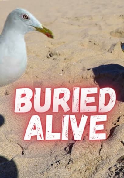 S01:E09 - LAST to STAY BURIED WINS $1000! poster