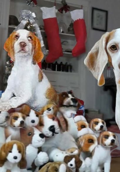 S01:E09 - Dogs, Christmas, and Giant Props poster