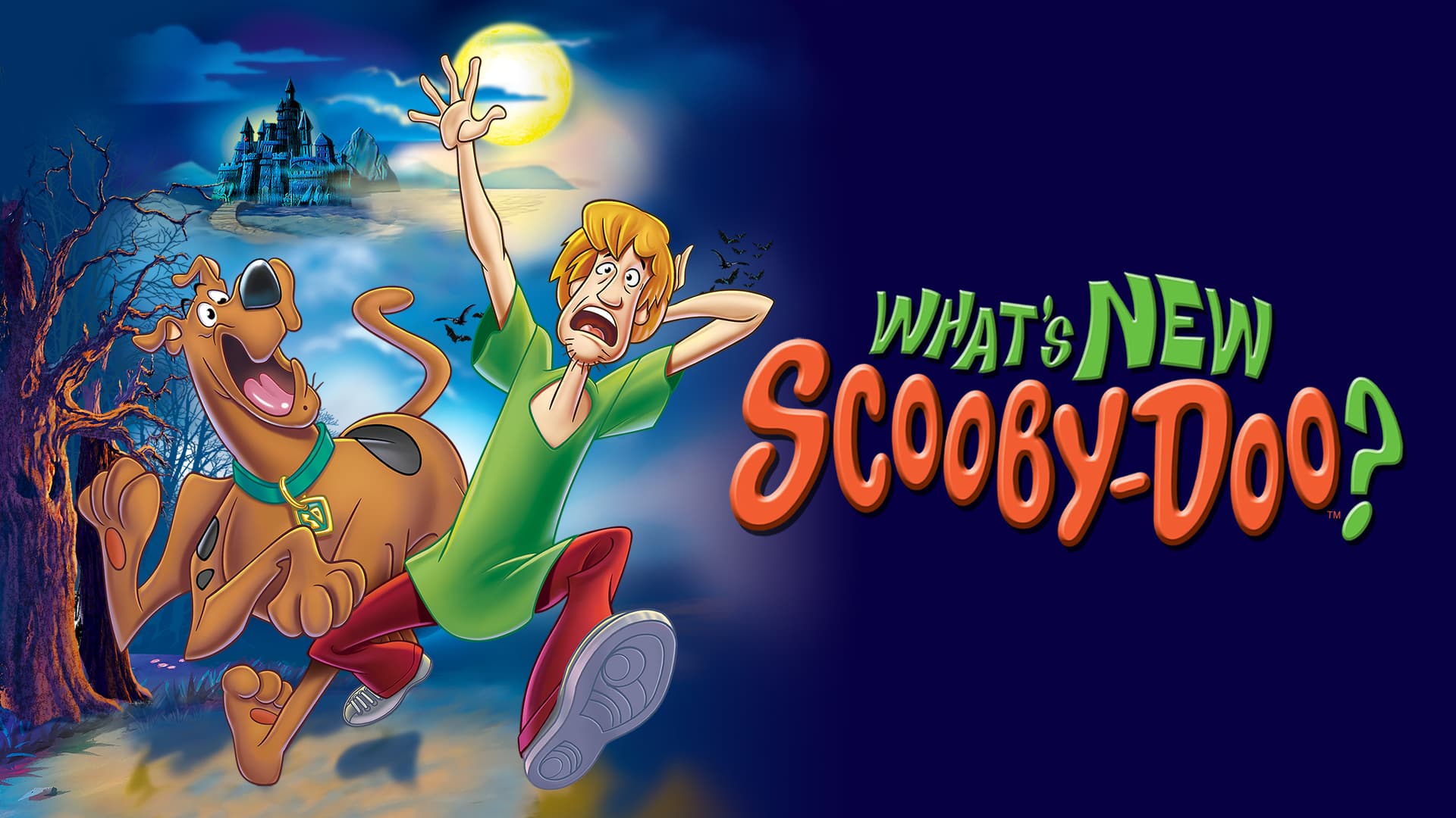 What's New, Scooby-Doo? (2006) poster