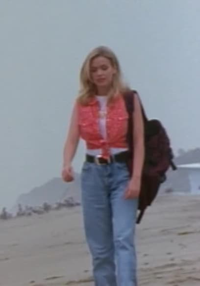 S04:E35 - Bomber in the Summer poster