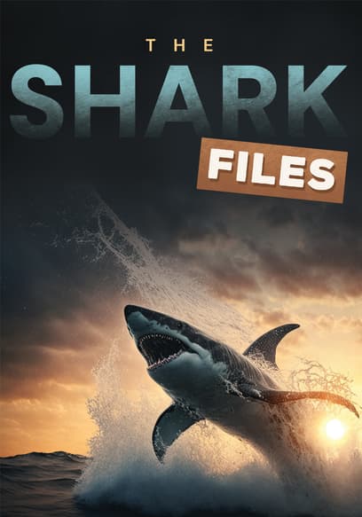 The Shark Files