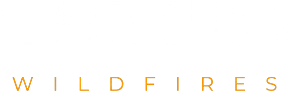 Climate Crisis: Wildfires