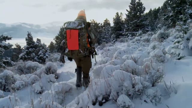 S04:E04 - Local Motion: Montana Bull Elk