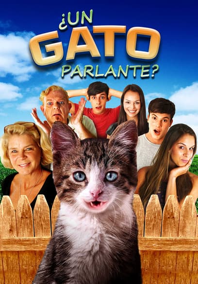 ¿Un gato parlante? (Doblado)