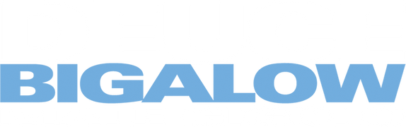 Deuce Bigalow: Male Gigolo