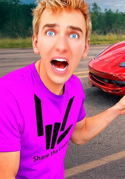 S01:E19 - Skunk Invades Stephen's Ferrari poster