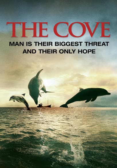 The Cove