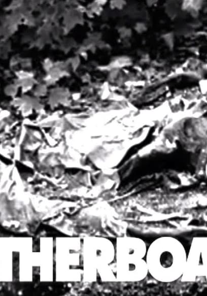 S01:E13 - Human Body Farm & Oliver Sacks on Five Common Types of Hallucinations poster
