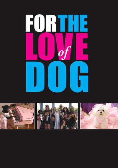 For the Love of Dog