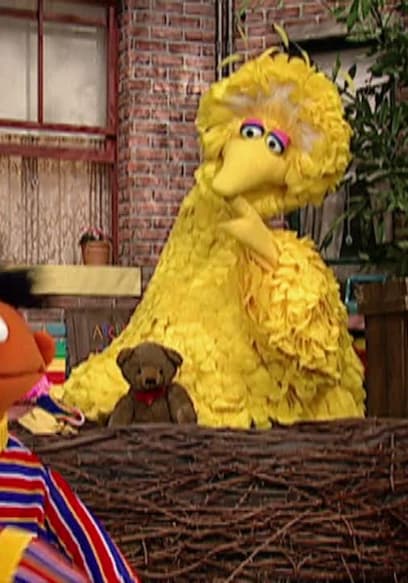 S35:E19 - Cookie Monster Writes a Story poster