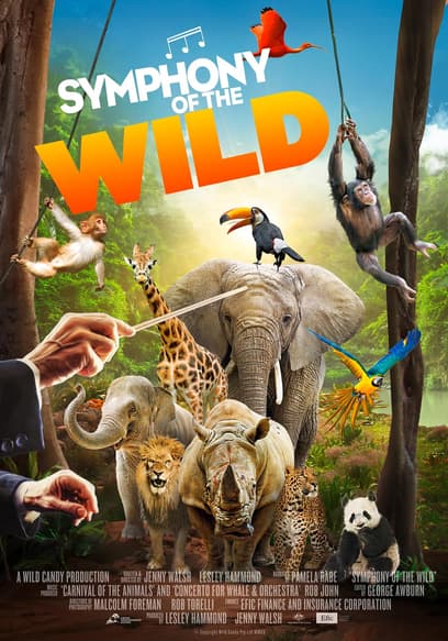 Symphony of the Wild