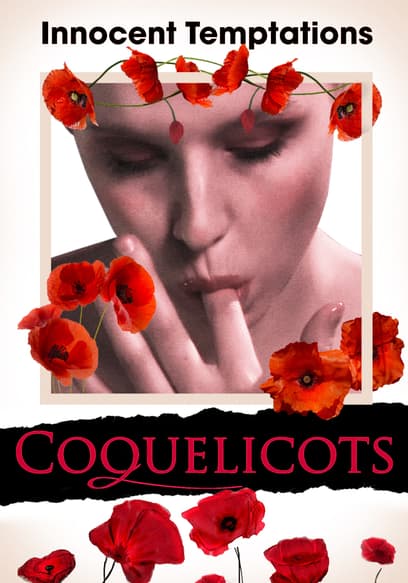 Coquelicots