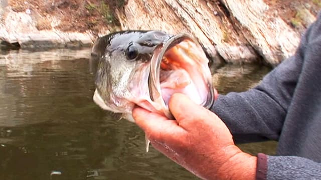 S03:E27 - Fishing Tournament for St. Jude's Children's Hospital