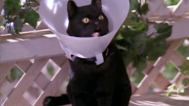 S03:E02 - Boy Was My Face Red