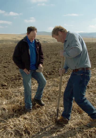 S14:E20 - Potatoes, Track Lights poster