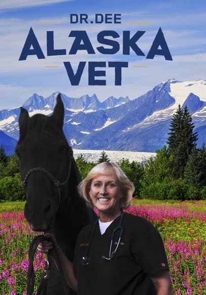 Dr. Dee: Alaska Vet