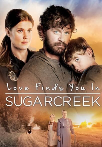 Love Finds You in Sugarcreek poster