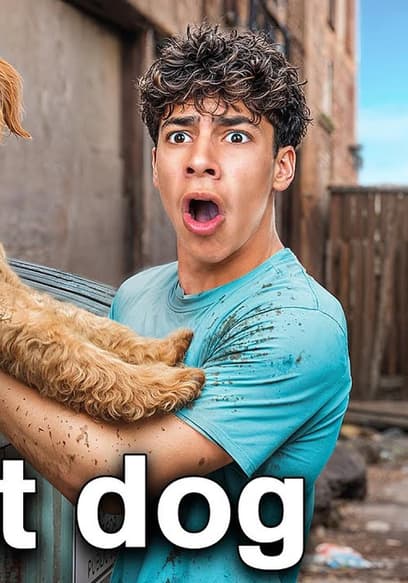 Affiche de S04:E03 - We Found a Lost Dog in a Dumpster