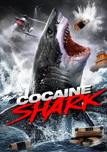Cocaine Shark