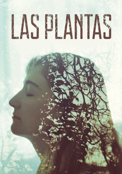 Las Plantas