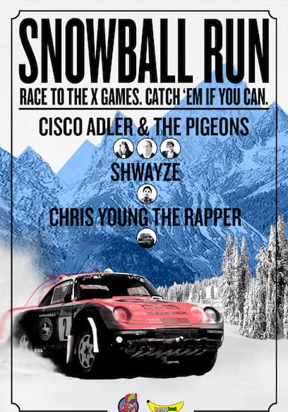Snowball Run poster