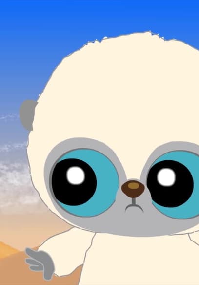 S01:E10 - Conociendo a Los Hermanos Meerkat poster