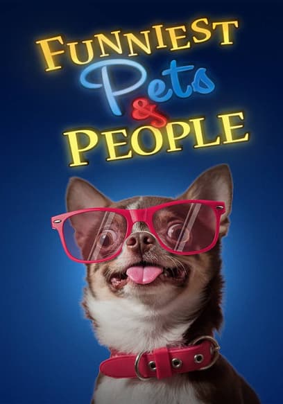 S01:E05 - Man's Best Friend