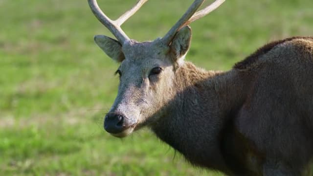 S01:E02 - Reconstruyendo un imperio