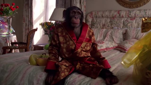 S05:E08 - Get Bananas