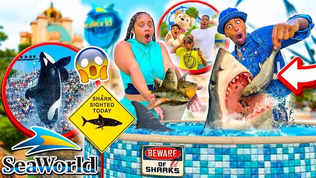 S02:E24 - Family Adventure: Sharks and Coasters