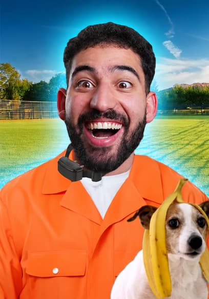 S01:E13 - Shock Collar Charades + Best Friend Test poster