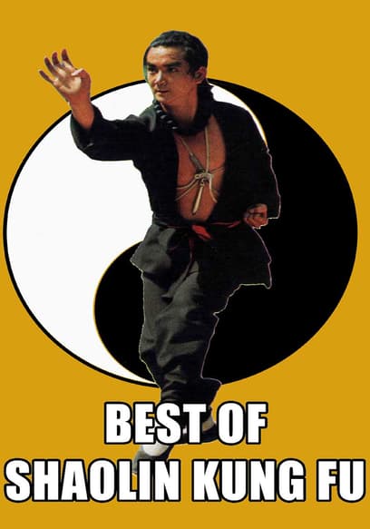 Best of Shaolin Kung Fu