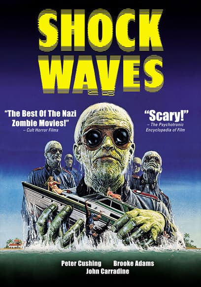 Shock Waves