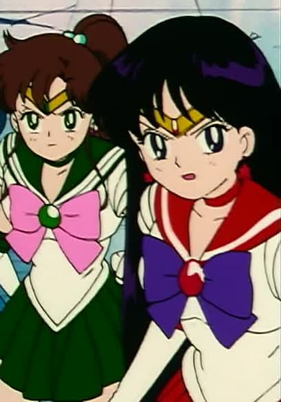 S02:E29 - The Mysterious New Guardian: Sailor Pluto Appears poster