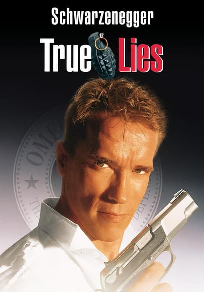 True Lies poster