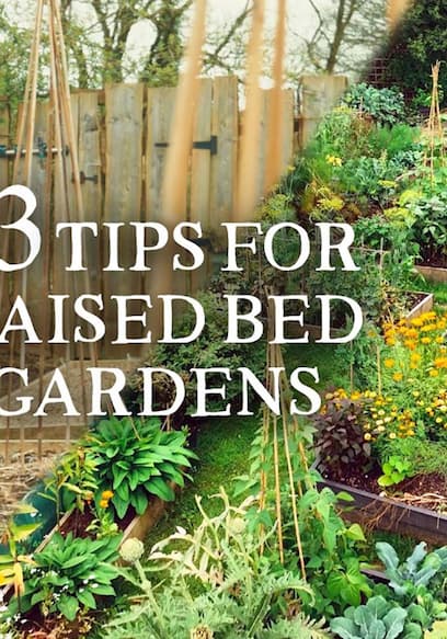 S01:E02 - 23 Raised Bed Gardening Tips I Wish I Knew Sooner poster