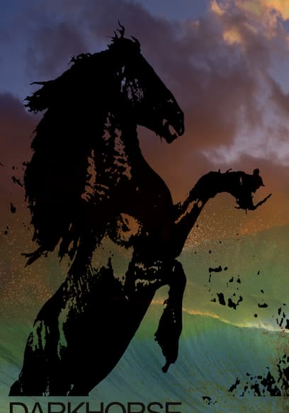 Darkhorse: The Bro Tape