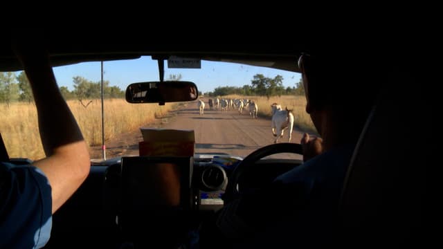 S01:E02 - Deadly Consequences